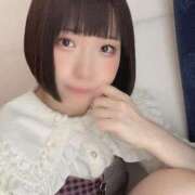 ヒメ日記 2025/04/07 14:17 投稿 ひるね アリスカフェ