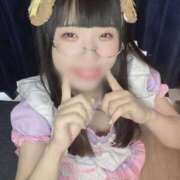 ヒメ日記 2025/04/28 23:29 投稿 ひるね アリスカフェ