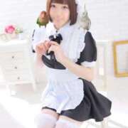 ヒメ日記 2025/05/15 15:33 投稿 ひるね アリスカフェ