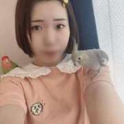 ヒメ日記 2025/07/29 19:48 投稿 ひるね アリスカフェ