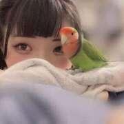 ヒメ日記 2025/08/12 20:33 投稿 ひるね アリスカフェ