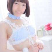 ヒメ日記 2025/08/29 15:44 投稿 ひるね アリスカフェ