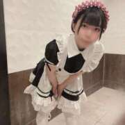 ヒメ日記 2025/09/06 15:15 投稿 ひるね アリスカフェ