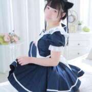 ヒメ日記 2025/09/24 15:34 投稿 ひるね アリスカフェ