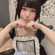 ヒメ日記 2025/10/09 10:44 投稿 ひるね アリスカフェ