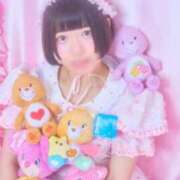 ヒメ日記 2025/10/12 15:29 投稿 ひるね アリスカフェ