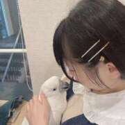 ヒメ日記 2025/11/14 10:38 投稿 ひるね アリスカフェ