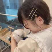 ヒメ日記 2025/11/24 17:22 投稿 ひるね アリスカフェ