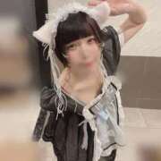 ヒメ日記 2025/12/01 10:48 投稿 ひるね アリスカフェ