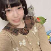 ヒメ日記 2026/01/08 23:47 投稿 ひるね アリスカフェ