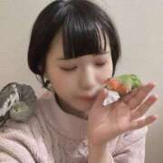 ひるね [お題]from:くっちゃねさん アリスカフェ