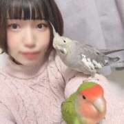 ヒメ日記 2026/01/23 20:38 投稿 ひるね アリスカフェ