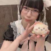 ヒメ日記 2026/01/29 11:39 投稿 ひるね アリスカフェ