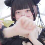 ヒメ日記 2026/01/29 14:40 投稿 ひるね アリスカフェ