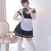 ヒメ日記 2026/02/04 14:21 投稿 ひるね アリスカフェ