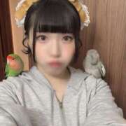 ヒメ日記 2026/02/11 13:38 投稿 ひるね アリスカフェ