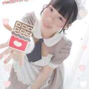 ヒメ日記 2026/02/14 12:21 投稿 ひるね アリスカフェ