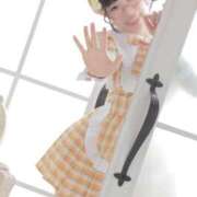 ヒメ日記 2026/02/19 11:19 投稿 ひるね アリスカフェ