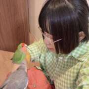 ヒメ日記 2026/02/24 17:51 投稿 ひるね アリスカフェ