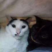 ヒメ日記 2024/12/23 16:42 投稿 しずか clubさくら京橋店