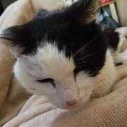 ヒメ日記 2024/12/24 08:52 投稿 しずか clubさくら京橋店