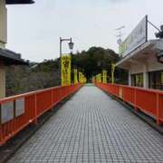 ヒメ日記 2025/02/24 19:22 投稿 しずか clubさくら京橋店