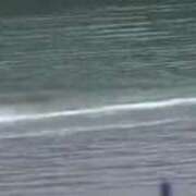 ヒメ日記 2025/03/08 17:22 投稿 しずか clubさくら京橋店