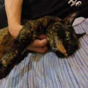 ヒメ日記 2025/06/20 16:42 投稿 しずか clubさくら京橋店