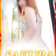 ヒメ日記 2025/07/30 15:12 投稿 しずか clubさくら京橋店