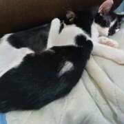 ヒメ日記 2025/09/25 23:12 投稿 しずか clubさくら京橋店