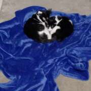 ヒメ日記 2025/10/31 16:02 投稿 しずか clubさくら京橋店