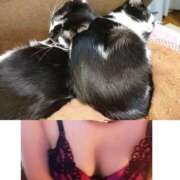 ヒメ日記 2025/11/14 14:52 投稿 しずか clubさくら京橋店