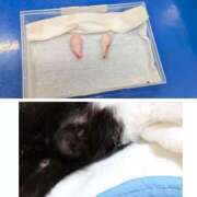 ヒメ日記 2025/12/05 10:36 投稿 しずか clubさくら京橋店