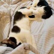 ヒメ日記 2025/12/21 21:42 投稿 しずか clubさくら京橋店