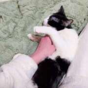 ヒメ日記 2026/02/07 22:24 投稿 しずか clubさくら京橋店