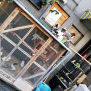 ヒメ日記 2026/10/25 08:52 投稿 しずか clubさくら京橋店