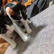 ヒメ日記 2025/09/11 23:28 投稿 しずか 奥さまさくら京橋店