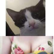 ヒメ日記 2025/09/16 09:28 投稿 しずか 奥さまさくら京橋店