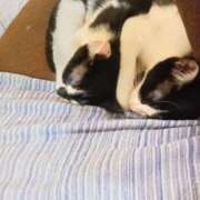 ヒメ日記 2025/09/21 11:48 投稿 しずか 奥さまさくら京橋店