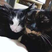 ヒメ日記 2025/11/29 20:34 投稿 しずか 奥さまさくら京橋店