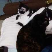 ヒメ日記 2025/12/08 15:44 投稿 しずか 奥さまさくら京橋店