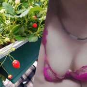 ヒメ日記 2026/04/26 11:14 投稿 しずか 奥さまさくら京橋店