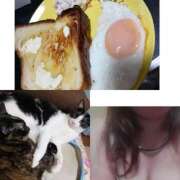 ヒメ日記 2026/04/28 12:04 投稿 しずか 奥さまさくら京橋店