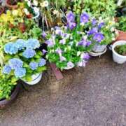 ヒメ日記 2026/06/27 14:34 投稿 しずか 奥さまさくら京橋店