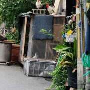 ヒメ日記 2026/07/07 16:44 投稿 しずか 奥さまさくら京橋店