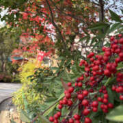 えな お礼です 奥鉄オクテツ奈良