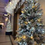 ヒメ日記 2025/12/09 14:10 投稿 えな 奥鉄オクテツ奈良