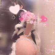 ヒメ日記 2025/09/17 16:52 投稿 かのん チューリップ姫路店