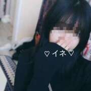 ヒメ日記 2026/02/05 13:11 投稿 イネ 飾窓