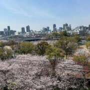 ヒメ日記 2025/04/25 11:29 投稿 Venus【ヴィーナス】 LOVEキタ兎我野店